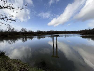 Acheter Terrain Tendu Indre