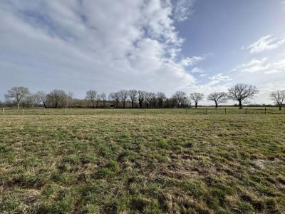 For sale Tendu 32767 m2 Indre (36200) photo 0