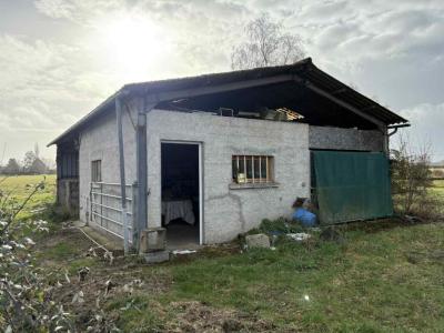 Annonce Vente Terrain Tendu 36