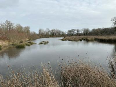 Acheter Terrain 32767 m2 Tendu