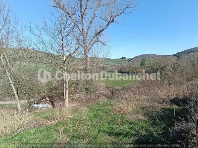 For sale Sainte-colombe-sur-gand 6 rooms 122 m2 Loire (42540) photo 4