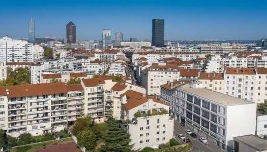 Annonce Vente Appartement Lyon-7eme-arrondissement 69
