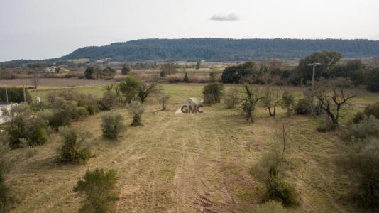 For sale Claret 855 m2 Herault (34270) photo 0