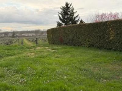 For sale Camblanes-et-meynac 200 m2 Gironde (33360) photo 2