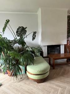 For rent Bihorel 4 rooms 94 m2 Seine maritime (76420) photo 2