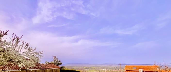 For sale Saint-galmier 990 m2 Loire (42330) photo 1