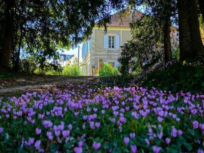 For sale Vic-fezensac 9 rooms 293 m2 Gers (32190) photo 1