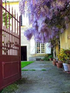 For sale Vic-fezensac 9 rooms 293 m2 Gers (32190) photo 3