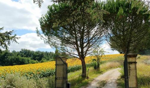 For sale Vic-fezensac 9 rooms 293 m2 Gers (32190) photo 4