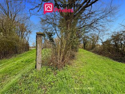 For sale Martigne-ferchaud 2 rooms 12340 m2 Ille et vilaine (35640) photo 3