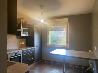 Acheter Appartement Wingen-sur-moder 145800 euros