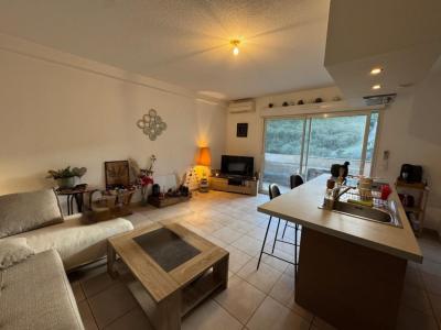 Annonce Vente 3 pi�ces Appartement Furiani 20