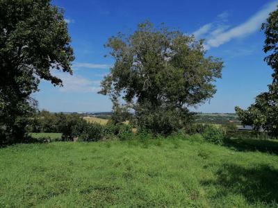 For sale Caro 800 m2 Morbihan (56140) photo 0