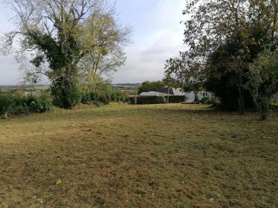 Annonce Vente Terrain Caro 56