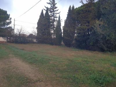 For sale Beaucaire 525 m2 Gard (30300) photo 2