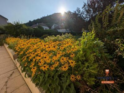 Acheter Maison 132 m2 Sombacour