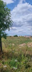 Annonce Vente 5 pi�ces Maison Verdun 55