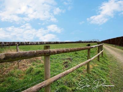 For sale Saint-gilles-de-la-neuville 6 rooms 158 m2 Seine maritime (76430) photo 2