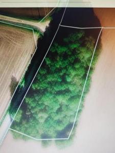 For sale Saint-vran 1 room 4351 m2 Cotes d'armor (22230) photo 0