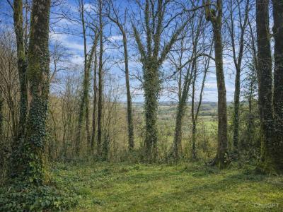 Acheter Maison 60 m2 Saint-gilles-du-mene