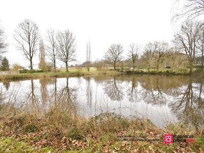 Annonce Vente Terrain Plaine 49