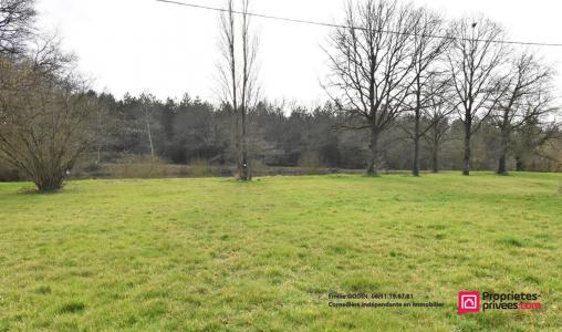 Acheter Terrain 11556 m2 Plaine