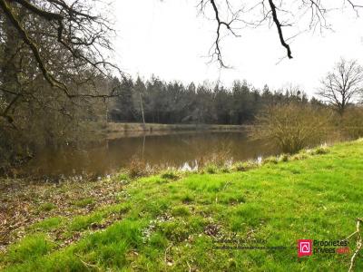 Acheter Terrain Plaine Maine et loire