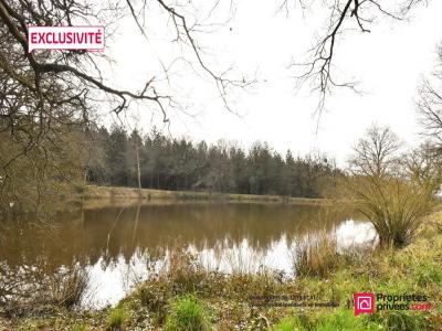 Acheter Terrain Plaine 34000 euros