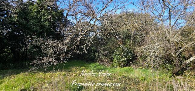 For sale Montelimar 1309 m2 Drome (26200) photo 0