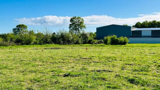 For sale Blaye 1150 m2 Gironde (33390) photo 3