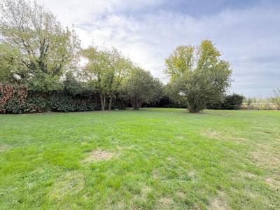 Annonce Location 2 pi�ces Maison Saint-vincent-de-paul 33