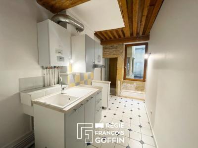 Louer Appartement Lyon-1er-arrondissement Rhone