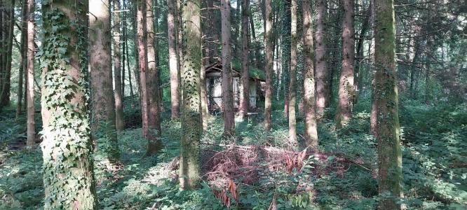 For sale Saint-bresson 3045 m2 Haute saone (70280) photo 2