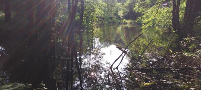 For sale Saint-bresson 3045 m2 Haute saone (70280) photo 3