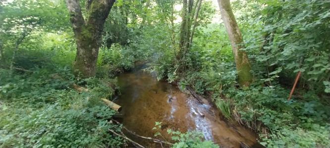 For sale Saint-bresson 3045 m2 Haute saone (70280) photo 4