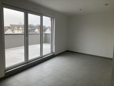 Annonce Location Appartement Brumath 67