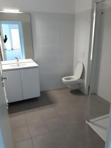Annonce Location 2 pi�ces Appartement Belleville 69