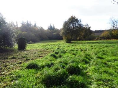 For sale Langoelan 3 rooms 44 m2 Morbihan (56160) photo 3