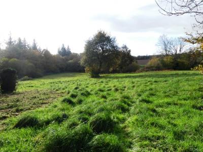 For sale Langoelan 3 rooms 44 m2 Morbihan (56160) photo 4