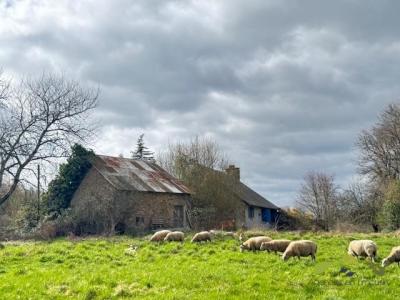 Annonce Vente 4 pi�ces Maison Peyrissac 19