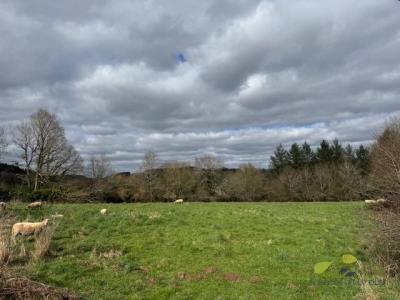 Acheter Maison 74 m2 Peyrissac