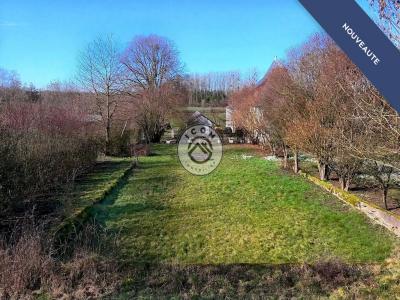 Acheter Immeuble Etroeungt Nord