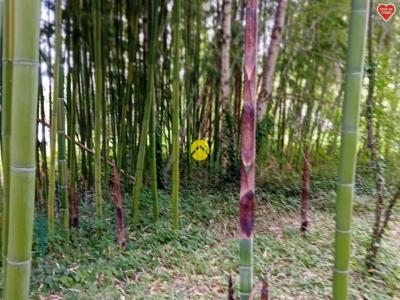 For sale Bourges 11500 m2 Cher (18000) photo 4