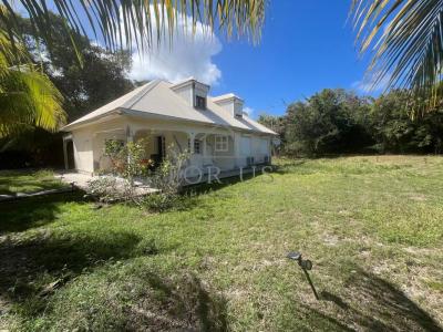 Annonce Vente 4 pi�ces Maison Moule 971