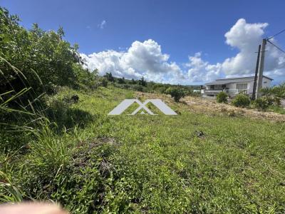 Acheter Terrain Saint-joseph Reunion