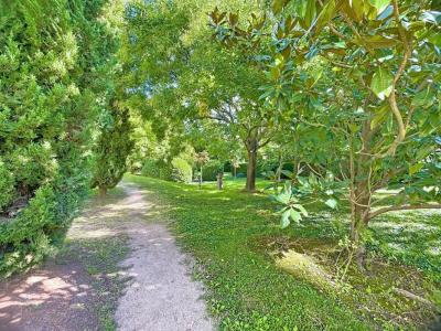 For sale Avignon 3 rooms 66 m2 Vaucluse (84000) photo 0