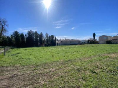 Acheter Terrain 3116 m2 Maussane-les-alpilles