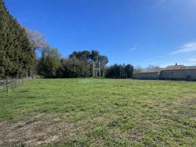 Acheter Terrain Maussane-les-alpilles Bouches du Rhone