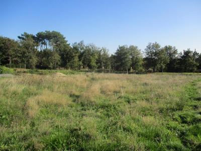 For sale 451 m2 Vendee (85470) photo 3