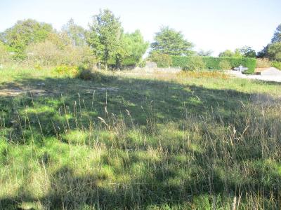 For sale 709 m2 Vendee (85150) photo 3